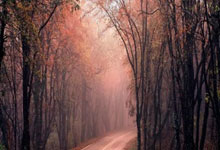 开云体育在线-簽(qiān)约成功，中央广播电视总台成为 2026 - 2032 奧(ào)运独家转播机构