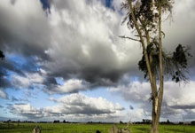 开云-南非险胜阿(ā)根廷力夺橄榄球锦標(biāo)赛冠(guān)军