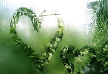 开云-版本(běn)更(gèng)新後(hòu)“变冷(lěng)淡”？DeepSeek回应