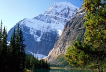 开云平台-校园电竞选手，请先对学业负责